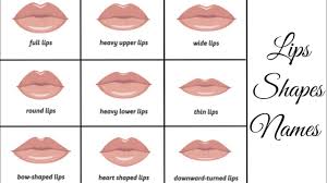 lips shapes and their names lips