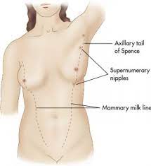 armpit lumps the pregnancy symptom no