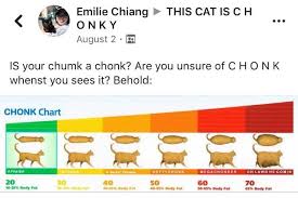 Chonk Chart Know Your Meme Nutrition Information