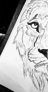 white lion drawing pencil sketch hd