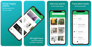 Plant id identification's main feature is learn more about plants, including great photos from around the world. Top 7 Plant Identification Apps For Android And Ios