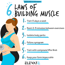 6 important laws of muscle building