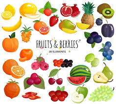 fruits vectors ilrations for free