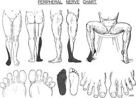 Instructions For Using The Cutaneous Resistance Recorder Or