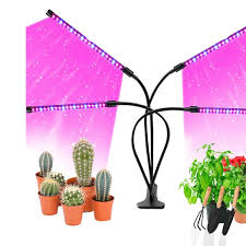 Up To 32 Off On Grow Light Bulb Indoor Plant Groupon Goods