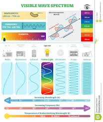 Electromagnetic Waves Visible Wave Spectrum Vector