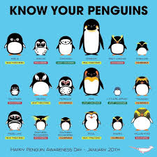 Know Your Penguins Chart Penguin Species Penguin