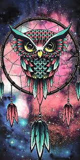 hd owl wallpapers peakpx