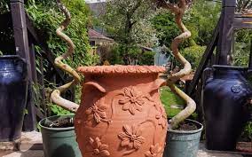 Vintage Clematis Design Terracotta Pot