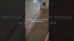 pet damage carpet repair in elk grove