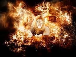 hd wallpaper fire flame fire lion