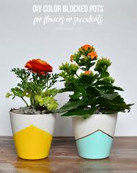 I used a brush because i used a couple of different shades and swirled it together for a textured look. Diy Color Blocked Pots For Flowers Or Succulents Perfect For Mothers Day Sisters What