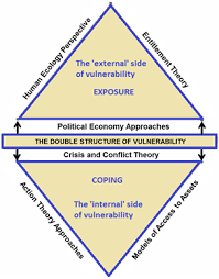 vulnerability essment