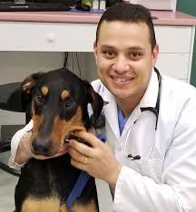 Aloha dog & cat hospital is a general veterinary practice that strives to provide complete, convenient, and compassionate care to all of our clients and their recently remodeled, our new veterinary clinic is spacious and welcoming. Our Animal Hospital Dog And Cat Clinic Of Niagara