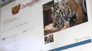 Any deals you find can be redeemed online or added to your shopping list so you don't miss out. Animal Rights Activists Urge Action On Advertising Big Cats For Sale Online The National