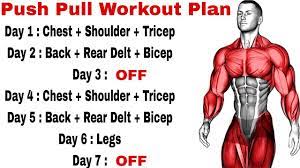 push pull legs workout plan