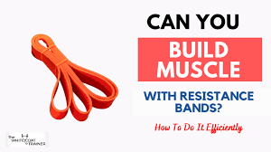 build muscle with resistance bands