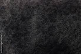 black panther skin texture background