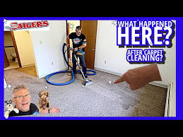 carpet cleaning fix this matted