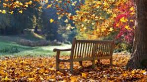 Generally, september 22 nd experiences the occurrence of the autumnal equinox and this day marks the first day of fall. Happy First Day Of Fall 2019 5 Fall Quotes To Celebrate Autumn Investorplace