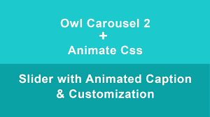owl carousel 2 with caption animation