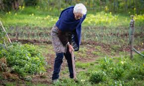 Elderly Gardening Growing Old