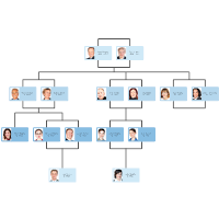Family Tree And Pedigree Chart Templates