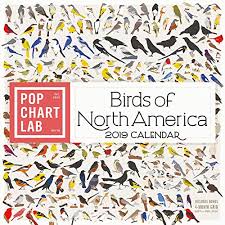 Birds Of North America By Pop Chart Lab Wall Calendar 2019