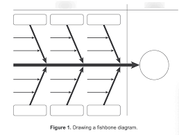 Ib Business Unit 1 Diagram Quizlet