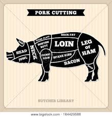 Pork Pig Meat Cutting Vector Vintage Chart Cuts Guide