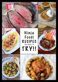 ninja foodi recipes you have to try