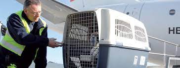 IATA Launches Certification Program for Animals Travelling by Air. The