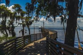fun things to do in jacksonville