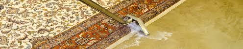 carpet cleaner on an oriental rug