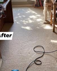 dynasty carpet tile cleaning services