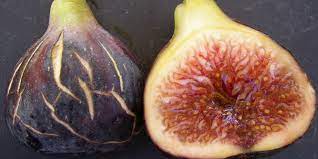 introduction to figs