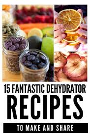 more tasty food dehydrator recipes