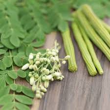 health benefits of sahjan or moringa