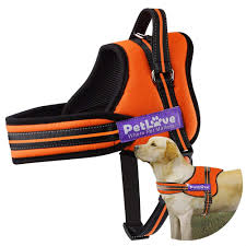 Petlove Dog Harness Soft Leash Padded No Pull Dog Harness With All Kinds Of Size