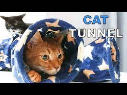 Diy Cat Tunnel