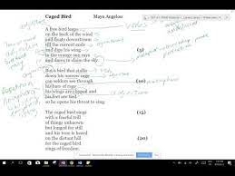 caged bird annotations you