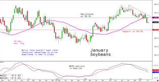 Daily Us Grain Report Market Bulls Try To Stabilise Futures