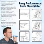 Asthma Peak Flow Meter Chart Template Readings Adults Check
