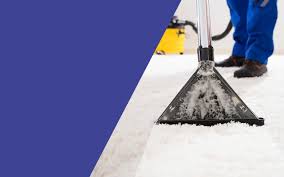 carpet cleaning long island 15 off