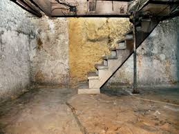 get rid of musty smell in basement