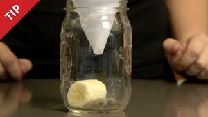 how to make a fruit fly trap chow tip