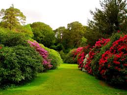 beautiful garden scenery hd wallpaper