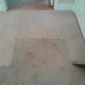 dry quick carpet cleaning carpet