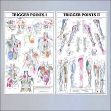 Two Part Trigger Point Chart Set Laminated Two Part Trigger