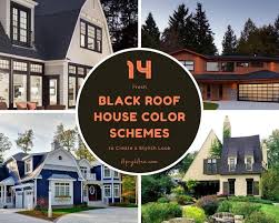 14 Fresh Black Roof House Color Schemes